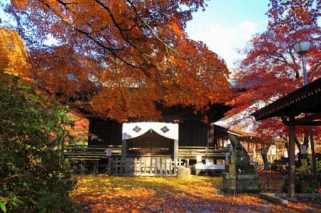 所沢市 多聞院の紅葉 ほのぼの通信