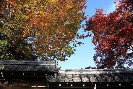 能仁寺 紅葉 ほのぼの通信